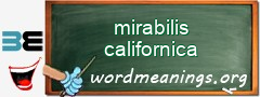 WordMeaning blackboard for mirabilis californica